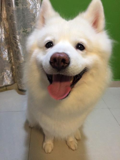 ÍÑÆ¶¹¥¼á£üÐÃÖÝ£º¡°×ßÎ÷¿Ú¡±¹ÊµØµÄ·´Æ¶À§¾öÕ½