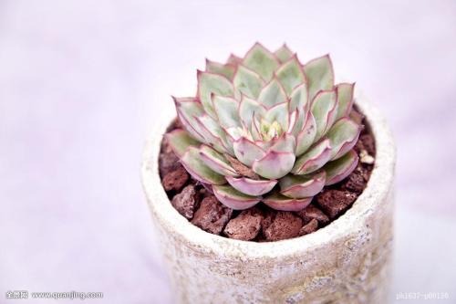 ¹Ø×¢Ð¾ÍÒµÐÎ̬£ºÖ°ÒµÑ¡Ôñ¸ü¶à ·¢Õ¹Ç°¾°¹ãÀ«