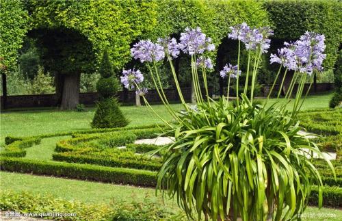 ºÓÄÏ£ºÏû·ÑÕß¹ºÂò½ø¿ÚÀäÁ´Ê³Æ·ÊµÐÐʵÃûÖÆ