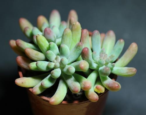 涉案金额超4.2亿元!浙江宣判一起海外医疗诈骗案