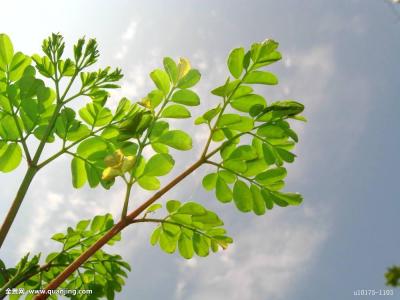 三部门统一信披规则 推进债券市场互联互通