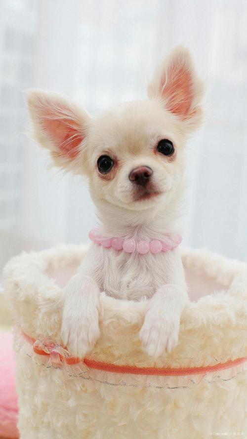 大兴安岭呼中区监测到零下44.5摄氏度极低气温