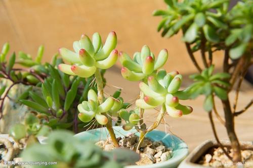 俄战机在波罗的海上空对两架美国轰炸机实施伴飞