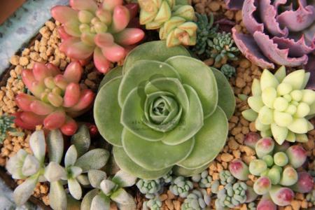 ¡°Å®×ÓÈ¡¿ìµÝ±»ÔìÒ¥¡±°¸£º¶ÔÍøÂ籩Á¦Ëµ¡°²»¡±