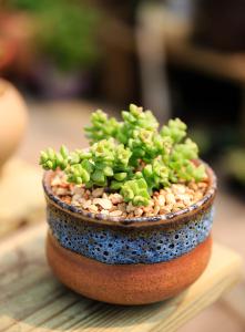 Õ㽺¼ÖÝÐÂÔö1ÀýÎÞÖ¢×´¸ÐȾÕß Ïµ°²±£¹«Ë¾Ô±¹¤